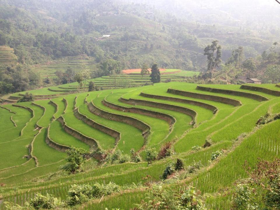 Ngan Nga Bac Ha Hotel מראה חיצוני תמונה